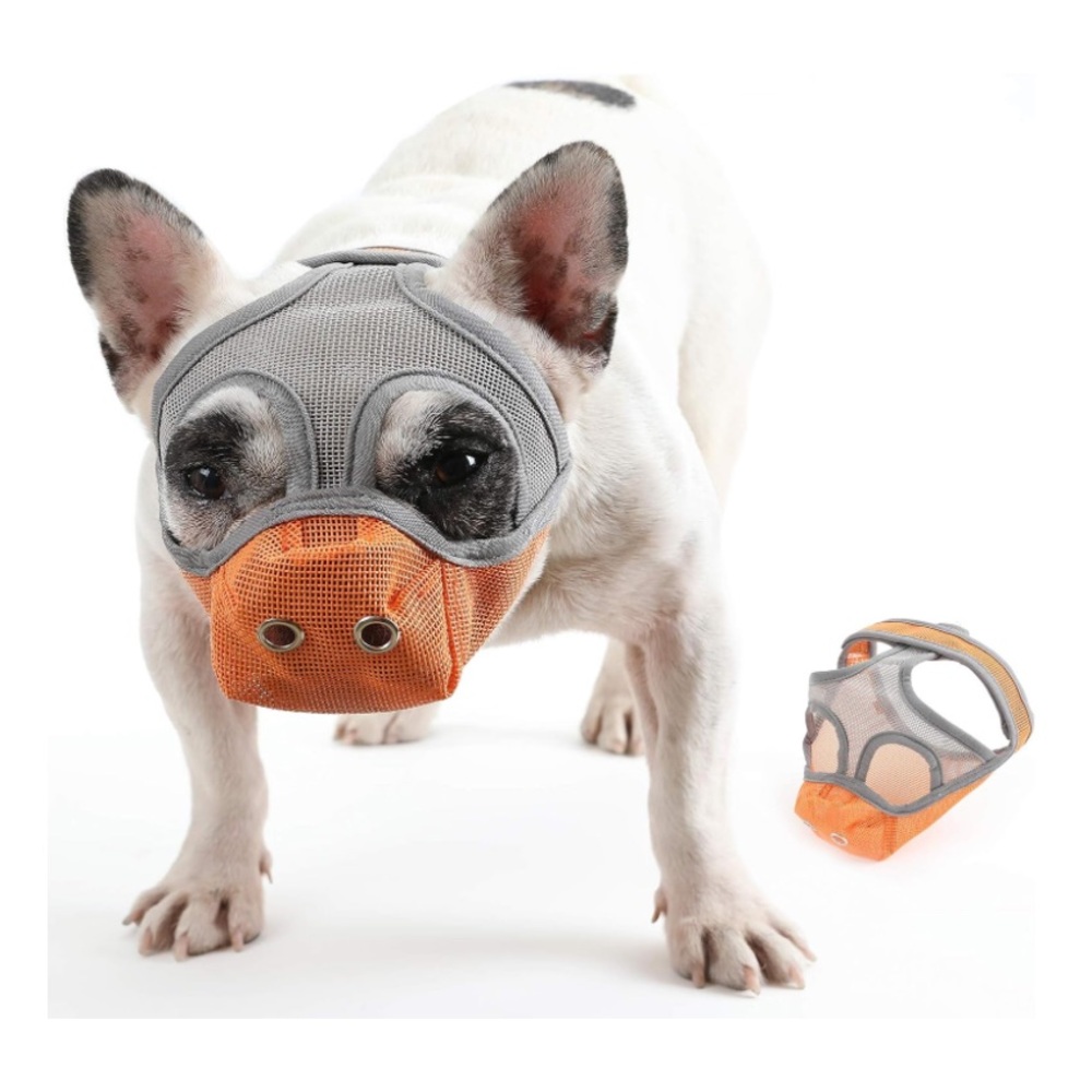 Cilkus Short Snout Dog Muffle